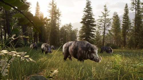 Way of the Hunter 2 � ���������� ��������� ��������� � ����� ������� ��������� �����