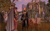 The Elder Scrolls Online      