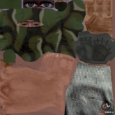 �������� � ����� ����� � DayZ