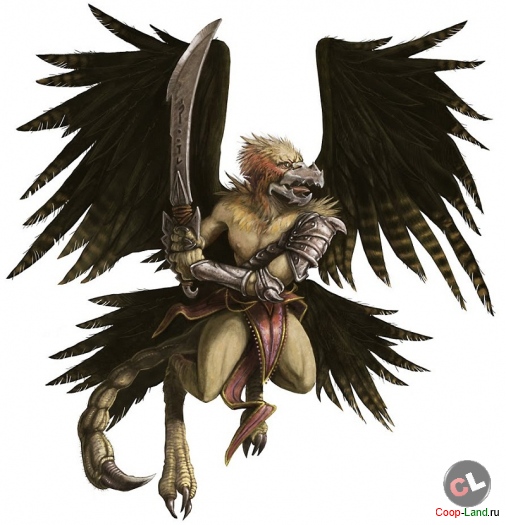  "HARDCORE"  01(11) 2013 -    Coop-Land