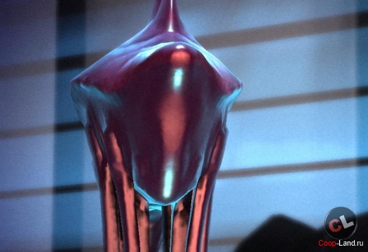  "HARDCORE"  01(11) 2013 -    Coop-Land