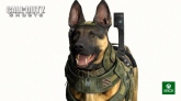 Новые скриншоты Call of Duty: Ghosts и геймплейный трейлер Новые скриншоты Call of Duty: Ghosts и геймплейный трейлер