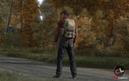 DayZ Standalone ! !