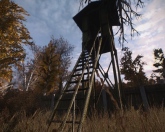 S.T.A.L.K.E.R Autumn Aurora 2