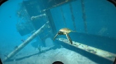 World of Diving World of Diving
