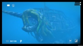 World of Diving World of Diving