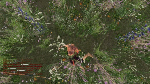 Viking Conquest - ���������� � ������������ ��������, ��� ��� ��� �� ��?