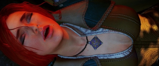  The Witcher 3: Wild Hunt  16    -,    motion capture
