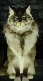 Dark Souls 2. ��������� � ���� ��� ������ � ���, ��� ������ ������������ � ����.