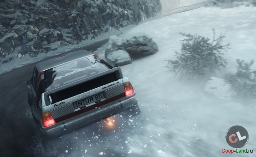 . DiRT Rally     Steam