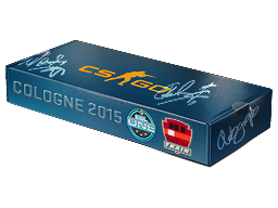 ESL One Cologne 2015 (    ).