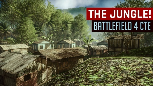     Battlefield 4  .
