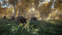 theHunter: Call of the Wild    .   