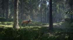 theHunter: Call of the Wild    .   