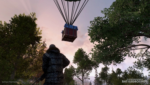  Battle Royale  Arma 3      Playerunknown's BattleGrounds