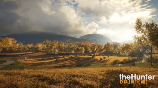  theHunter: Call of the Wild.   ,    