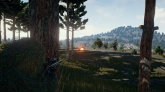 Playersunknown's Battlegrounds        