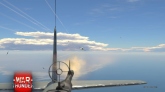  War Thunder   ,      