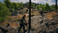 Rescue Ops: Wildfire