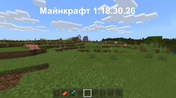 ������� Minecraft PE - 1.18.30.26/27