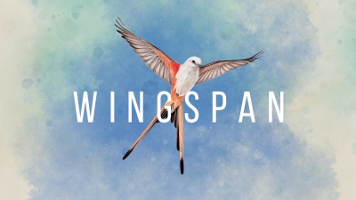 Wingspan ()