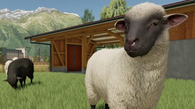 ����� ����������� � Farming Simulator 2022. ���� �� ��������� �� ����� � �����