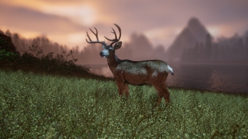 Untamed Kingdom � ��������������������� ��������� ����� �������� � �������� ����� �������