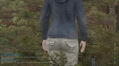   DayZ