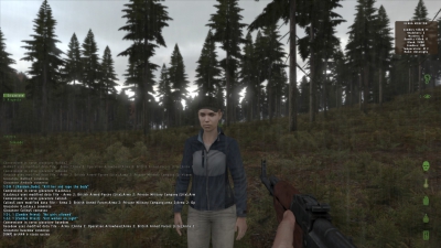   DayZ