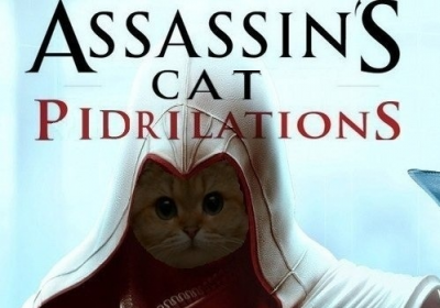 ,   .