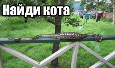 :  