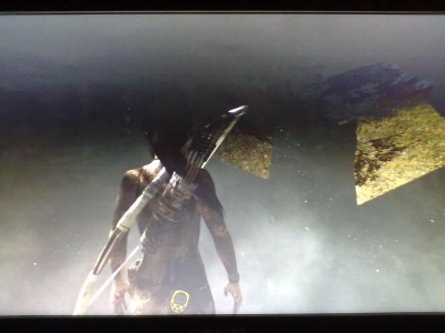 Tomb Raider Survival Edition