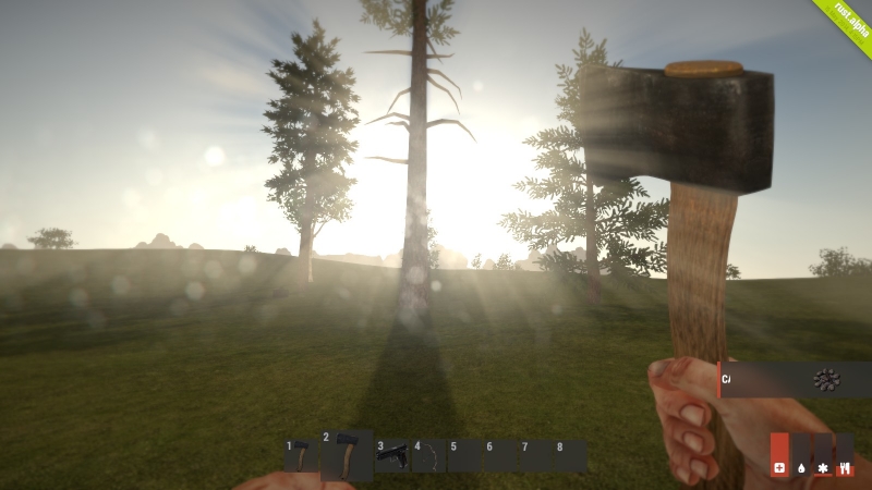   Rust
