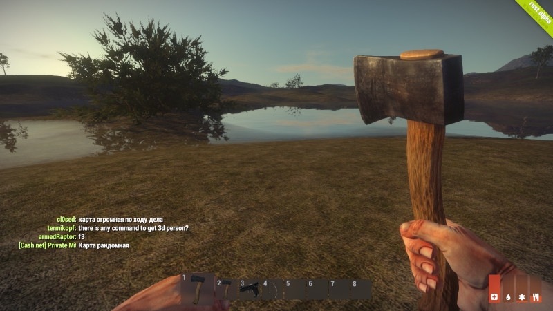   Rust