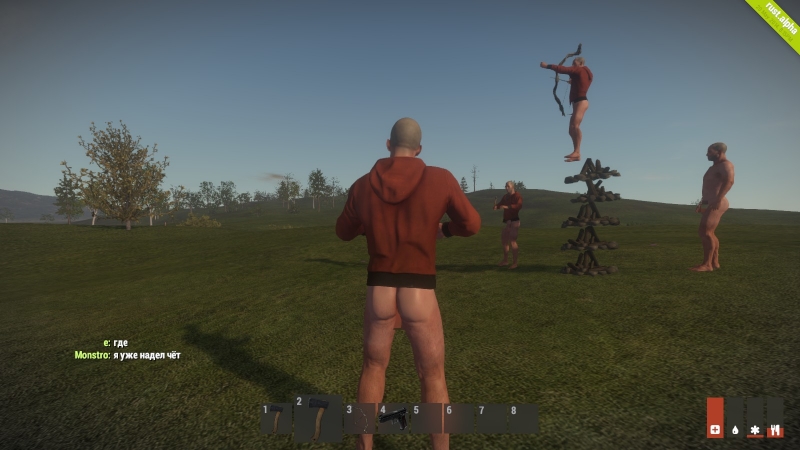   Rust