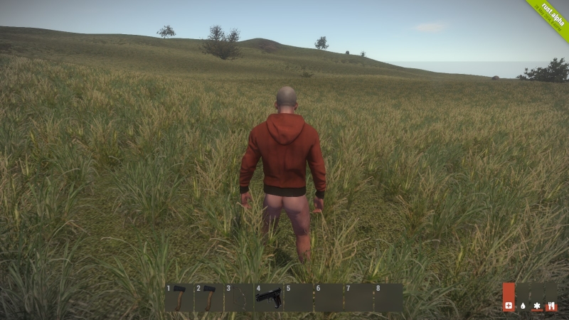   Rust