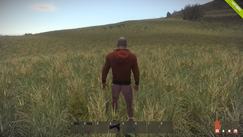   Rust