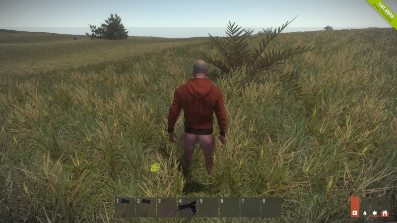   Rust