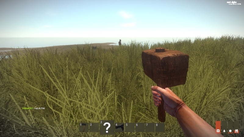   Rust