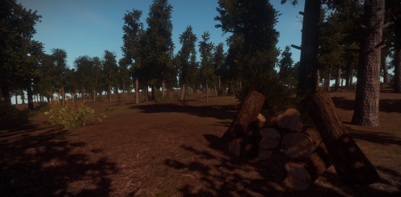   Rust
