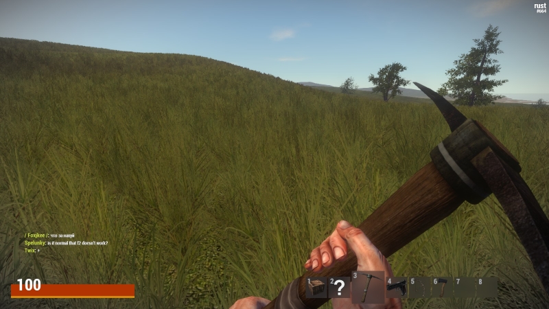   Rust