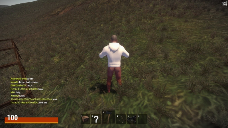   Rust