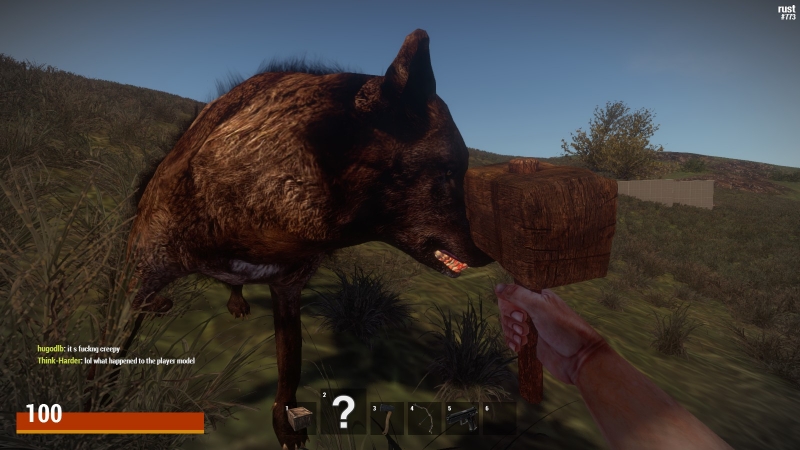   Rust