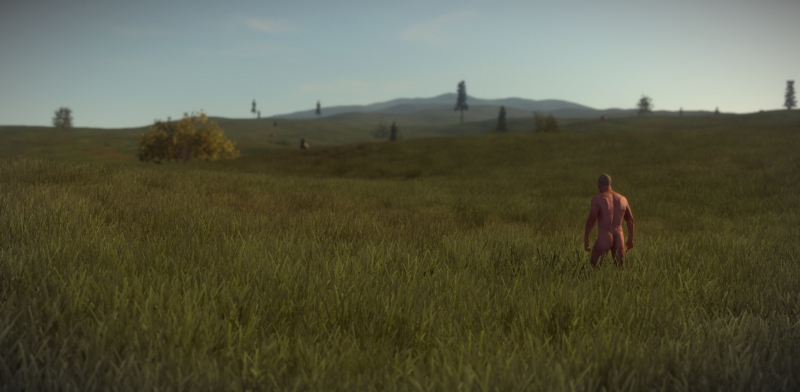   Rust