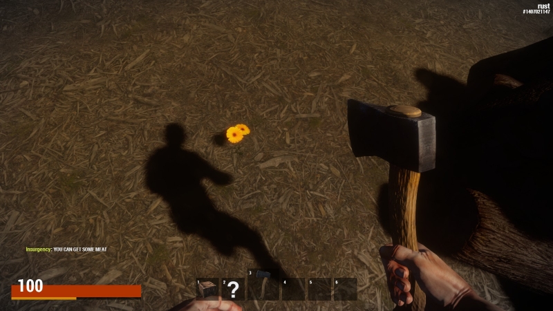   Rust