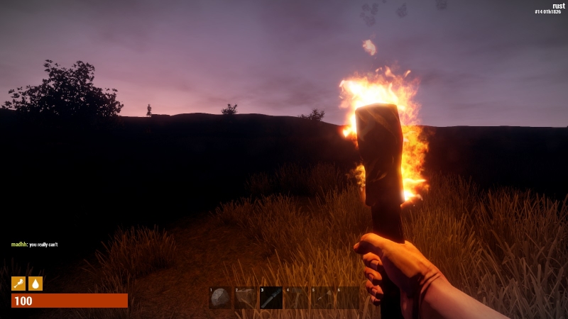   Rust