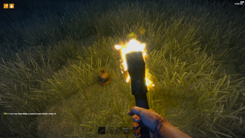   Rust