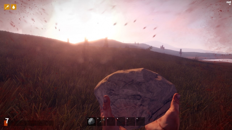   Rust