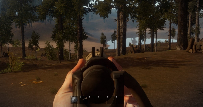   Rust