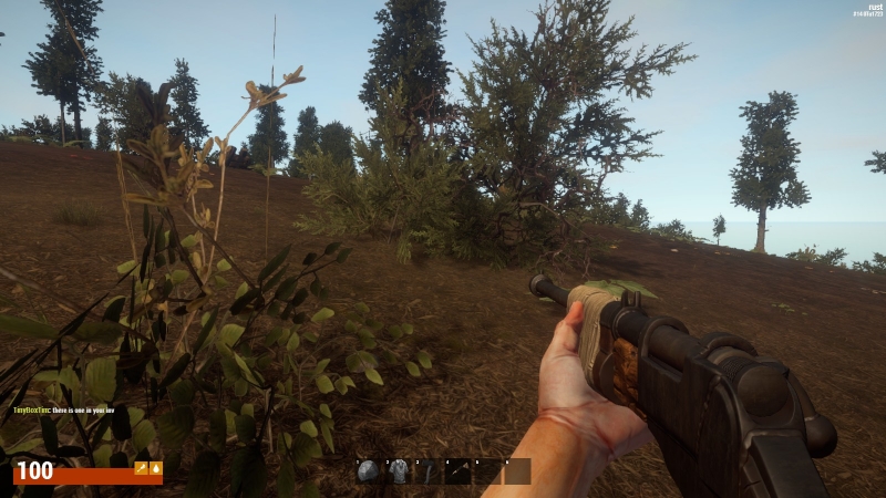   Rust